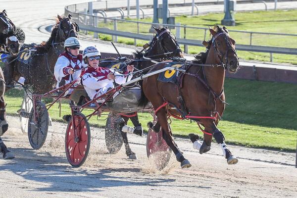 image of Carter, Cran and Chrissie double up at Addington